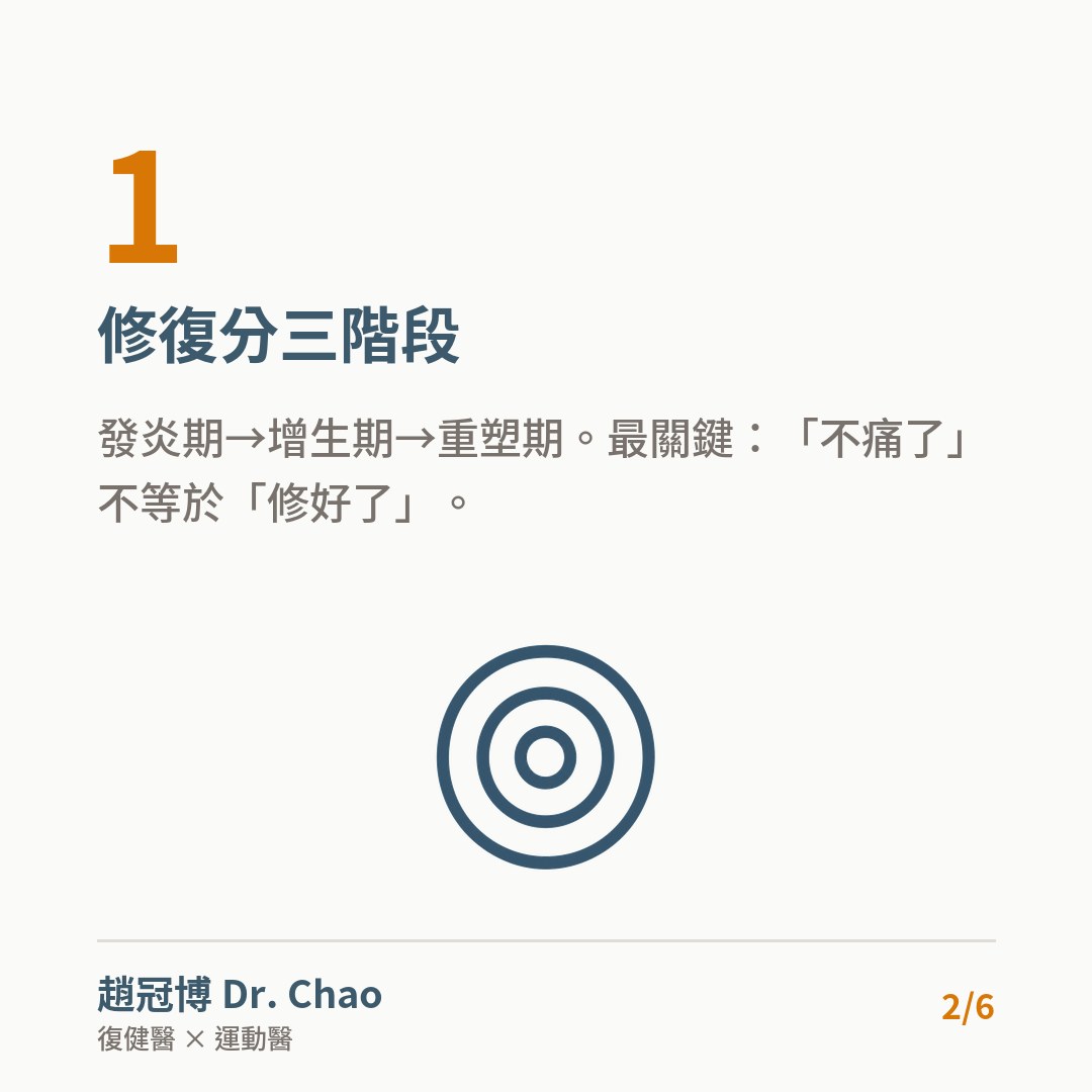 修復分三階段