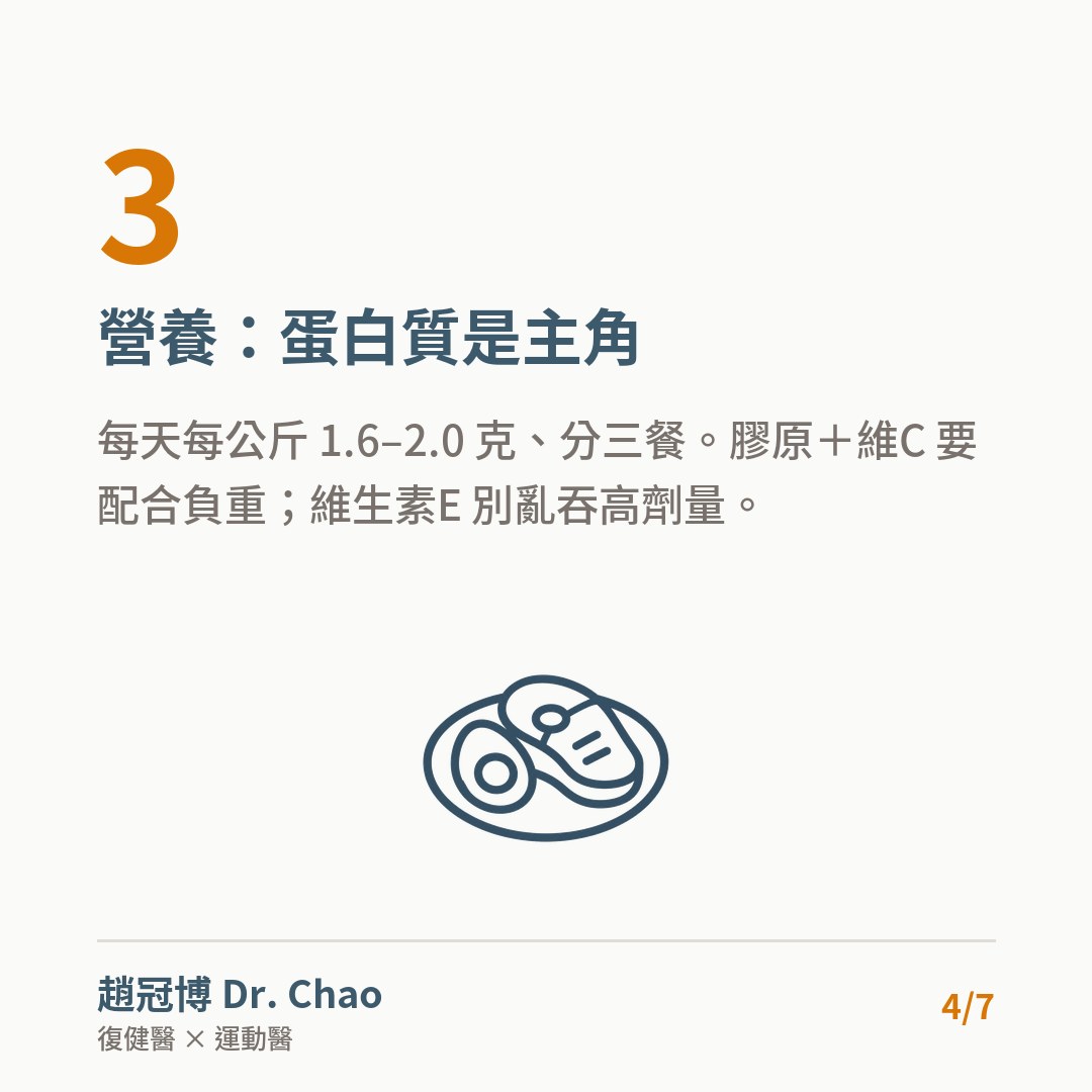 營養：蛋白質是主角